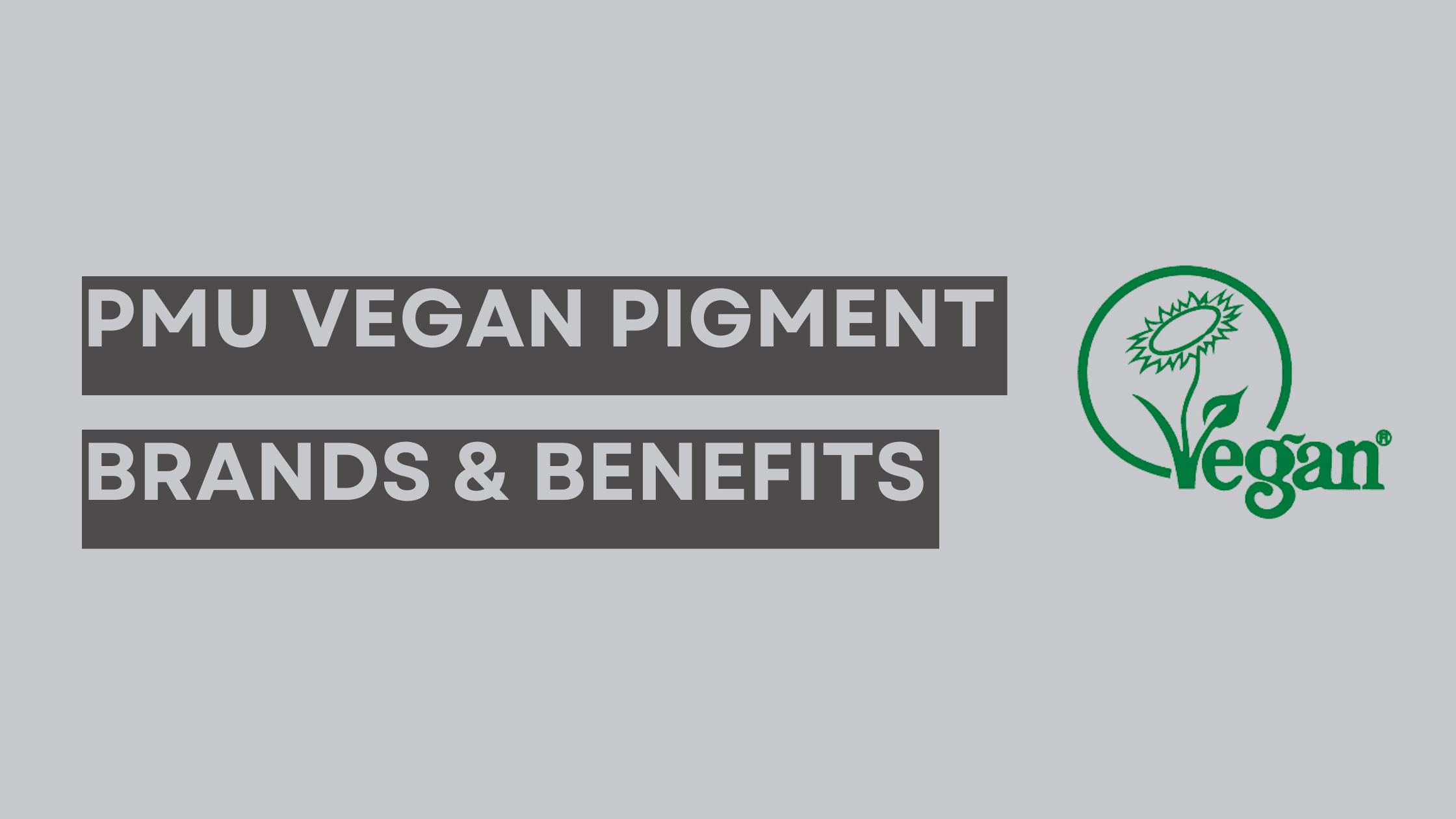 Permanent makeup vegan pigment brands